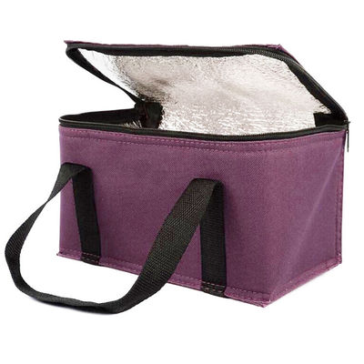OEM Niestandardowe drukowanie miękkie izolowane worek chłodzący 21 * 13 * 14 Cm z pojemnością 4L 16L 32L