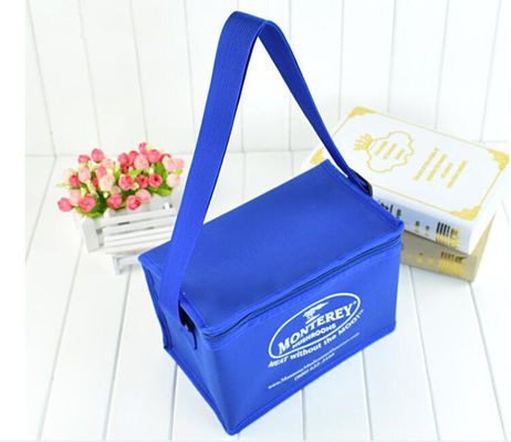 Portable Colorful Soft Insulated Cooler Bag With Different Size Available Wyposażony w różne rozmiary