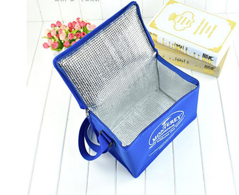 Portable Colorful Soft Insulated Cooler Bag With Different Size Available Wyposażony w różne rozmiary